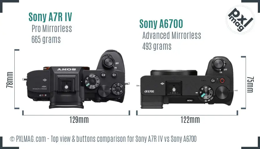 Sony A7R IV vs Sony A6700 top view buttons comparison
