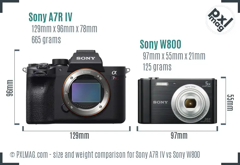 Sony A7R IV vs Sony W800 size comparison