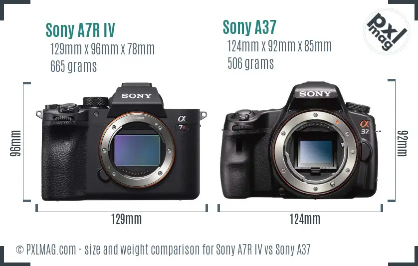 Sony A7R IV vs Sony A37 size comparison