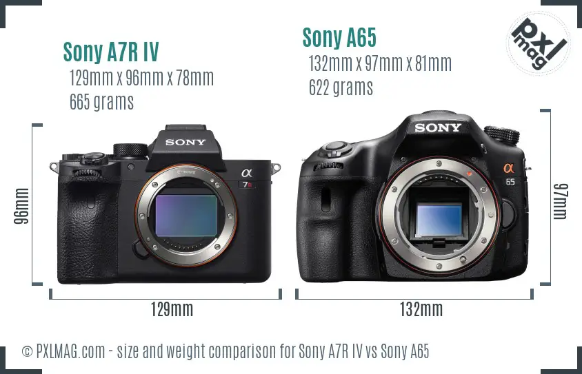 Sony A7R IV vs Sony A65 size comparison