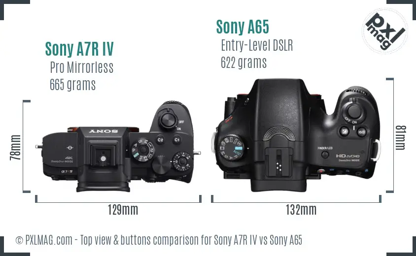 Sony A7R IV vs Sony A65 top view buttons comparison