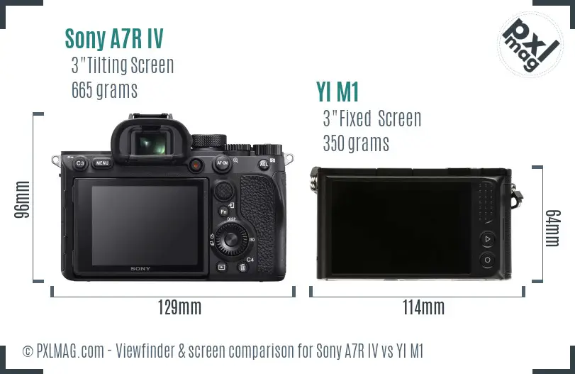 Sony A7R IV vs YI M1 Screen and Viewfinder comparison