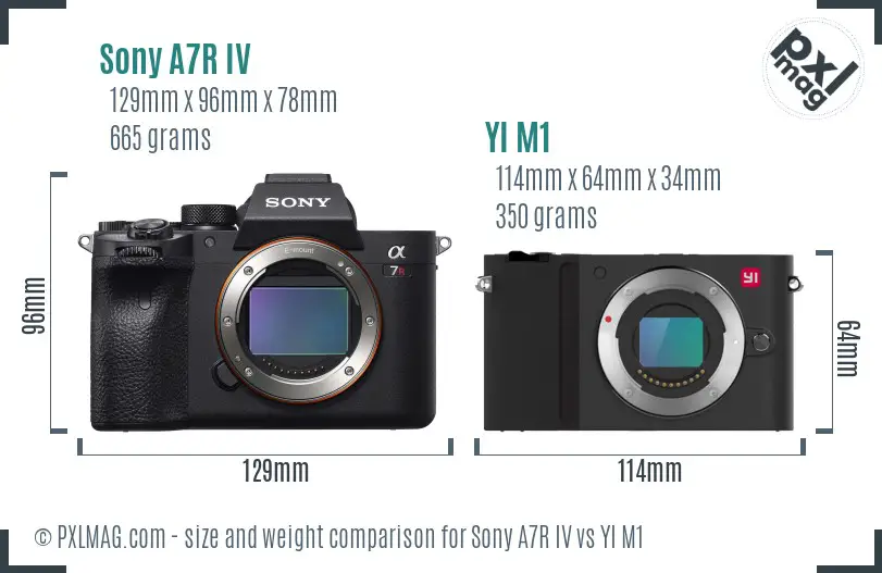 Sony A7R IV vs YI M1 size comparison