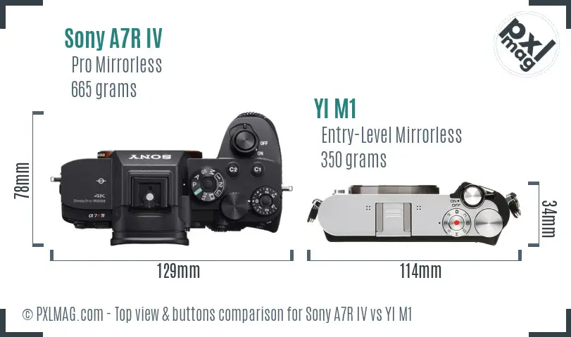Sony A7R IV vs YI M1 top view buttons comparison