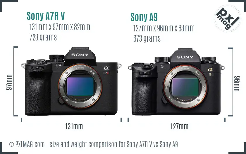 Sony A7R V vs Sony A9 size comparison