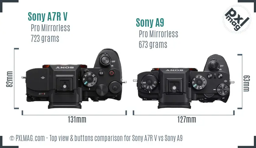 Sony A7R V vs Sony A9 top view buttons comparison