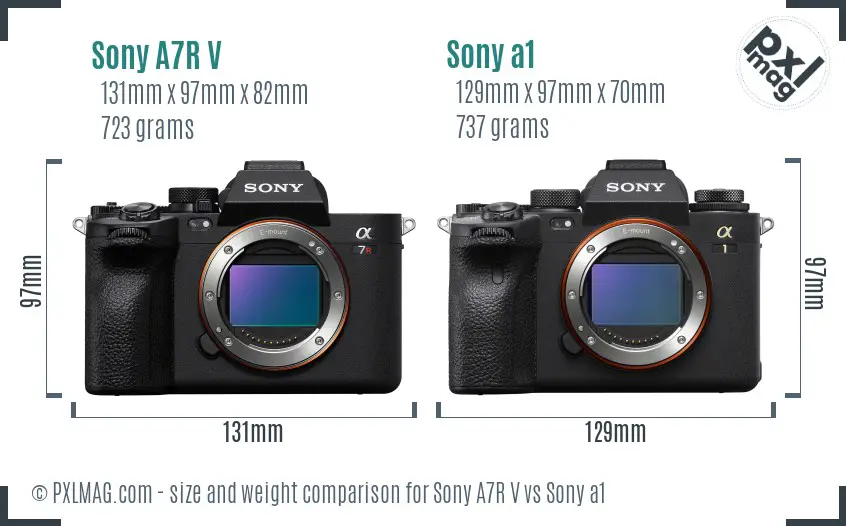 Sony A7R V vs Sony a1 size comparison