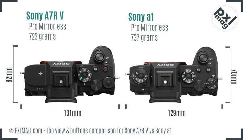 Sony A7R V vs Sony a1 top view buttons comparison