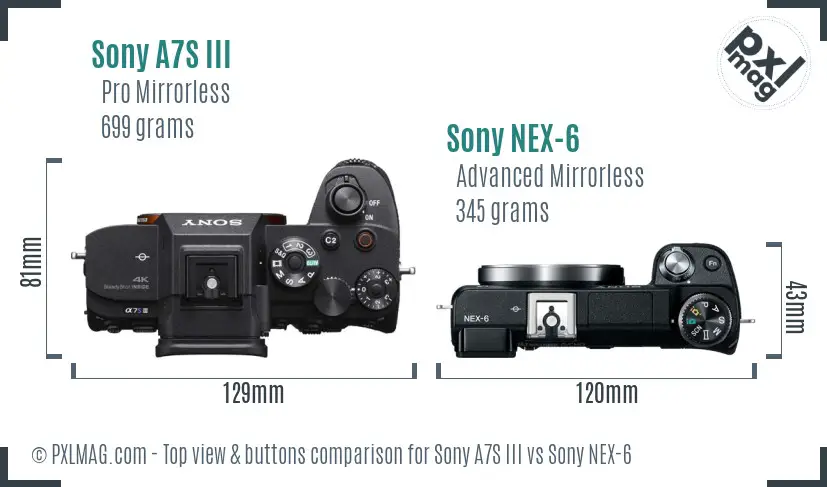 Sony A7S III vs Sony NEX-6 top view buttons comparison