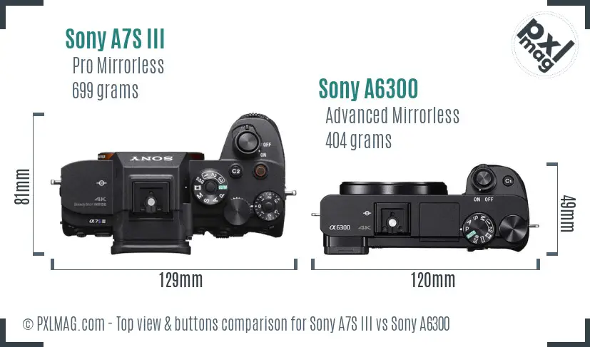 Sony A7S III vs Sony A6300 top view buttons comparison