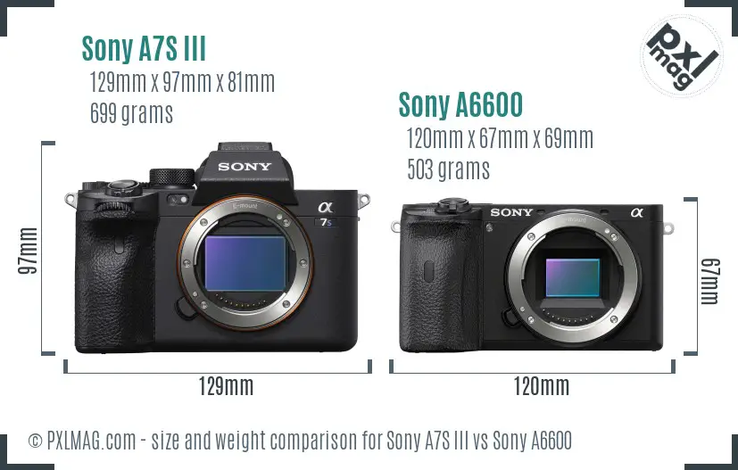 Sony A7S III vs Sony A6600 size comparison