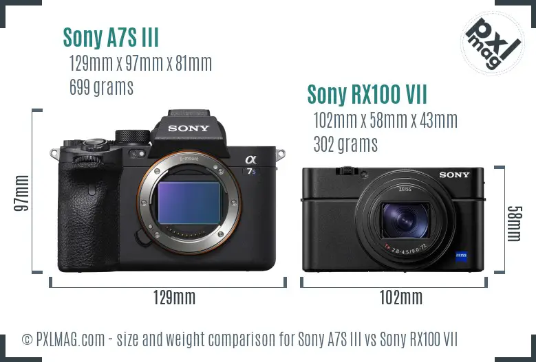 Sony A7S III vs Sony RX100 VII size comparison
