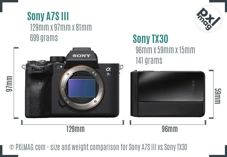 Sony A7S III vs Sony TX30 size comparison