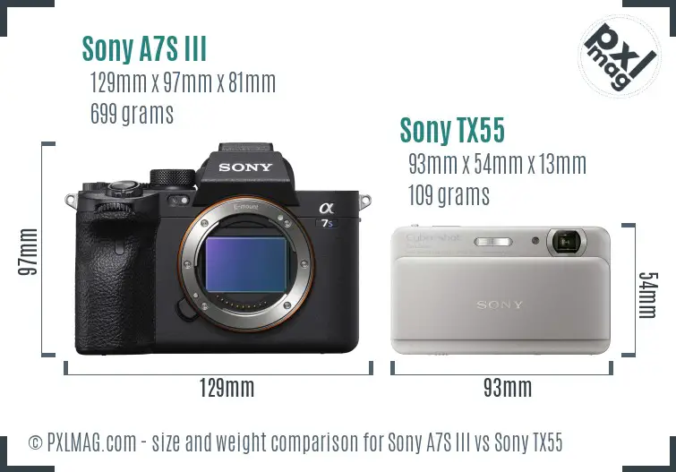 Sony A7S III vs Sony TX55 size comparison