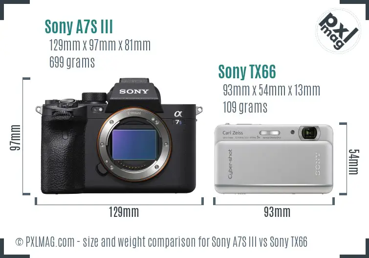 Sony A7S III vs Sony TX66 size comparison