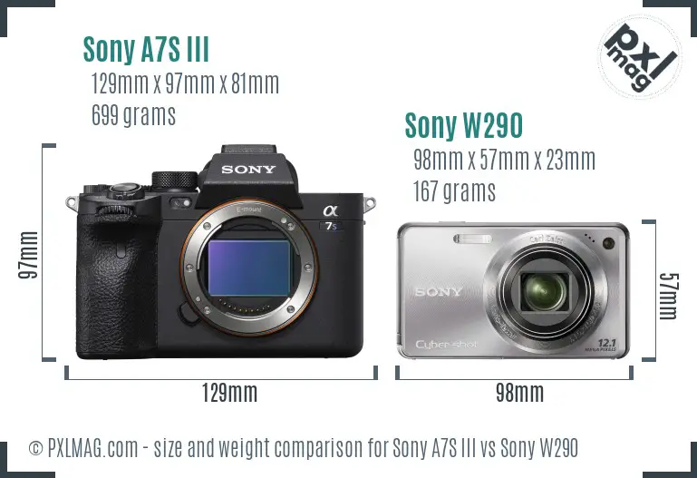 Sony A7S III vs Sony W290 size comparison