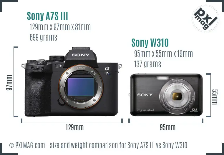 Sony A7S III vs Sony W310 size comparison