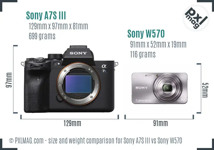 Sony A7S III vs Sony W570 size comparison