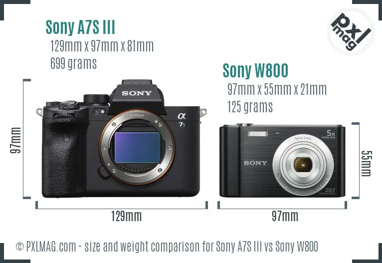 Sony A7S III vs Sony W800 size comparison