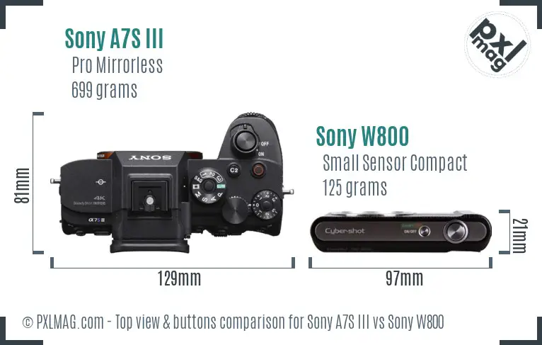 Sony A7S III vs Sony W800 top view buttons comparison