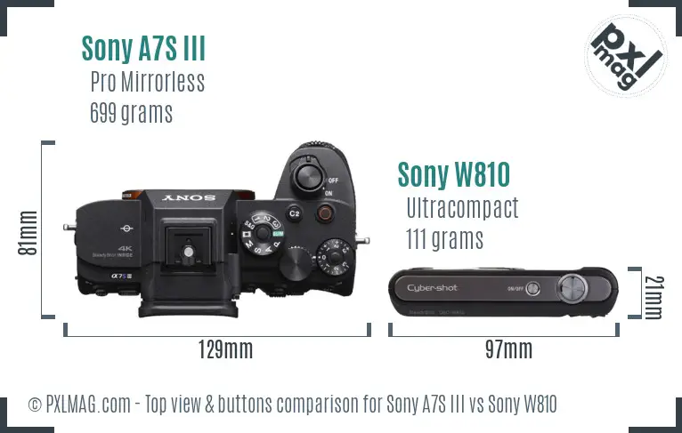 Sony A7S III vs Sony W810 top view buttons comparison