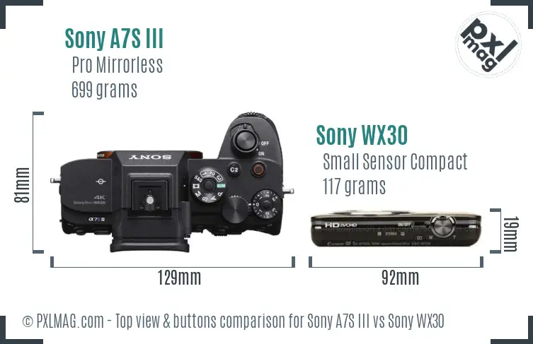 Sony A7S III vs Sony WX30 top view buttons comparison