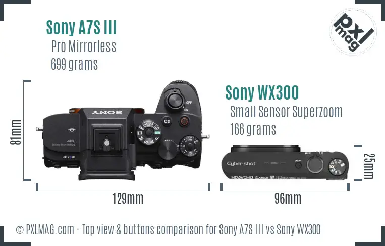 Sony A7S III vs Sony WX300 top view buttons comparison