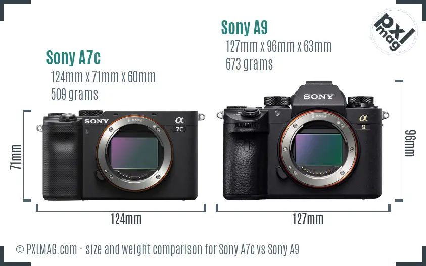 Sony A7c vs Sony A9 size comparison