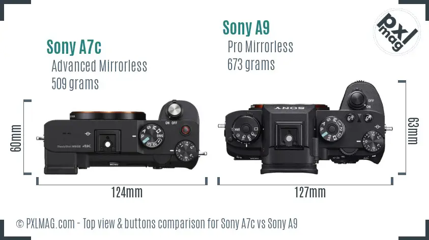 Sony A7c vs Sony A9 top view buttons comparison