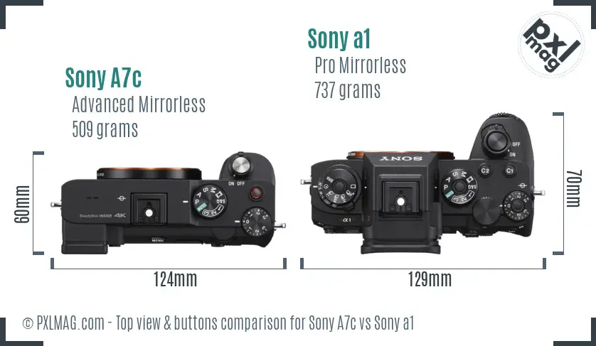 Sony A7c vs Sony a1 top view buttons comparison