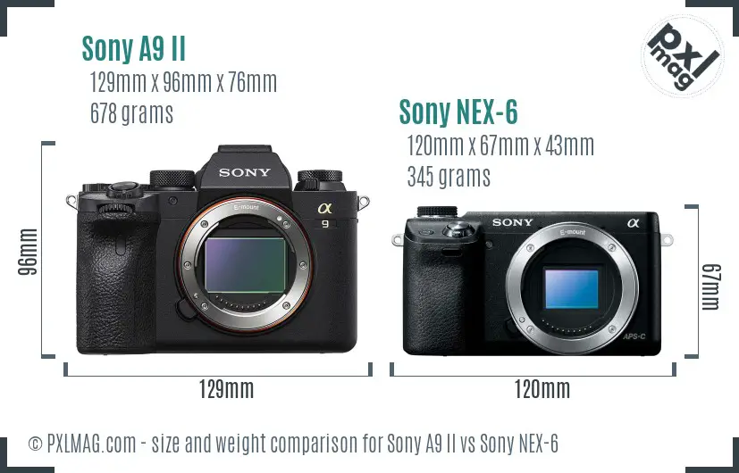 Sony A9 II vs Sony NEX-6 size comparison