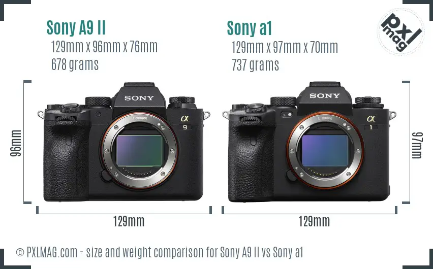 Sony A9 II vs Sony a1 size comparison