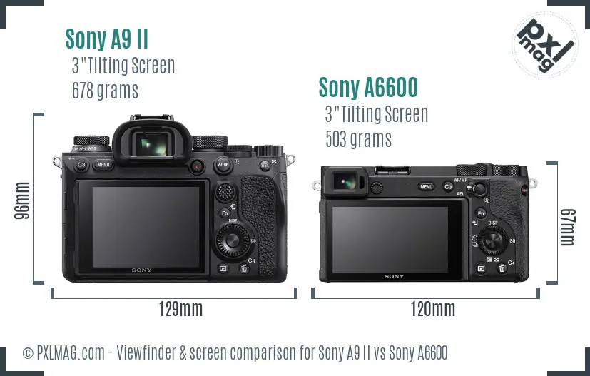 Sony A9 II vs Sony A6600 Screen and Viewfinder comparison