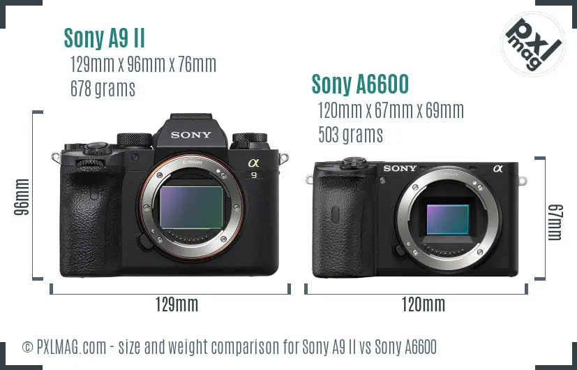 Sony A9 II vs Sony A6600 size comparison