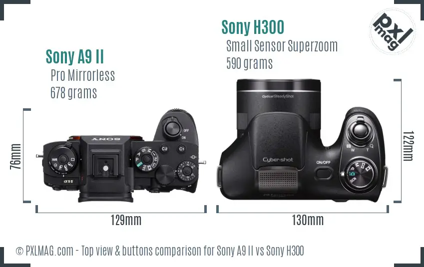 Sony A9 II vs Sony H300 top view buttons comparison