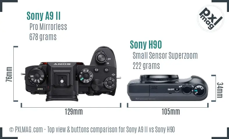 Sony A9 II vs Sony H90 top view buttons comparison