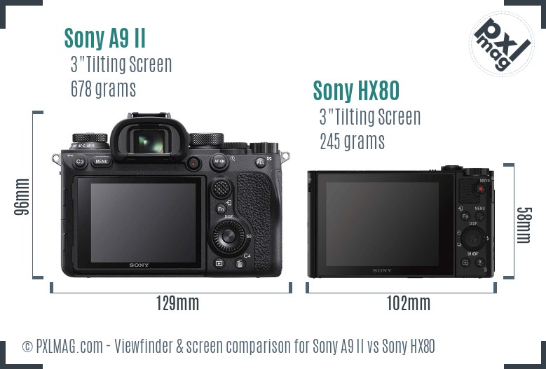 Sony A9 II vs Sony HX80 Screen and Viewfinder comparison