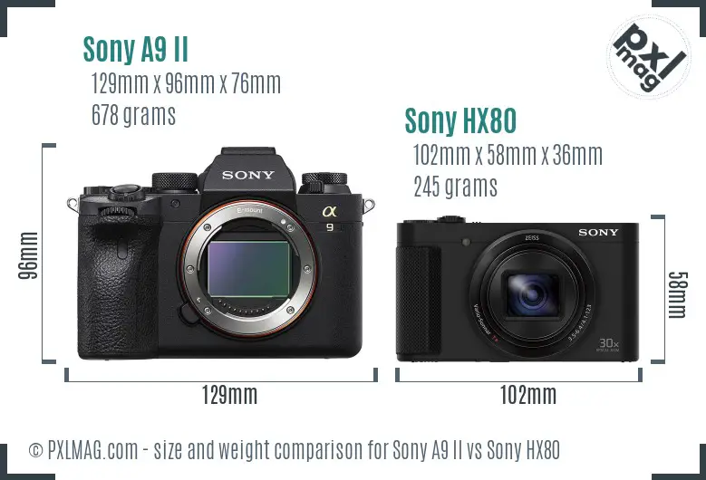 Sony A9 II vs Sony HX80 size comparison