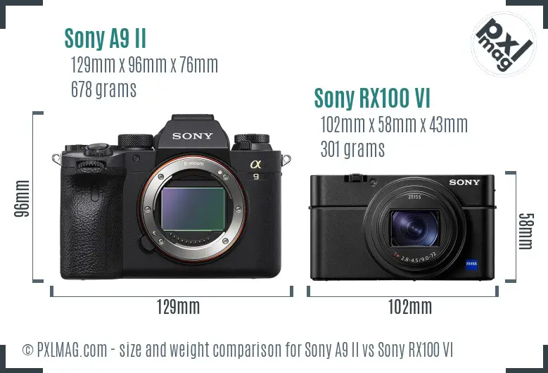 Sony A9 II vs Sony RX100 VI size comparison