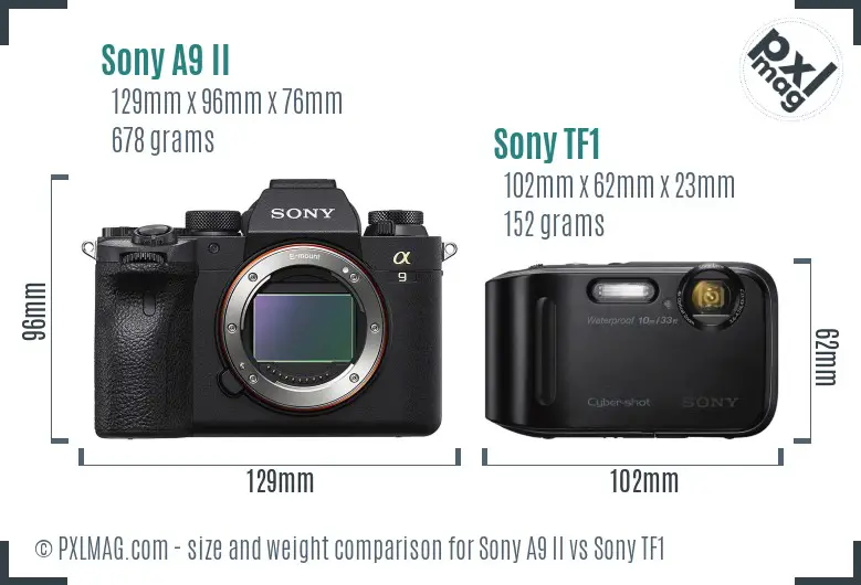 Sony A9 II vs Sony TF1 size comparison