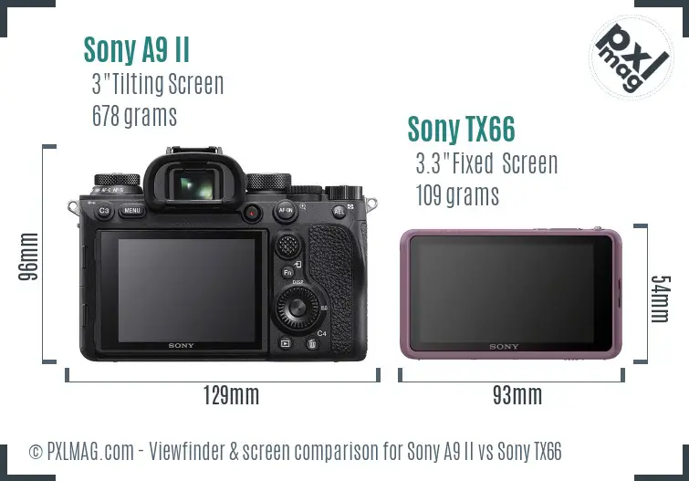 Sony A9 II vs Sony TX66 Screen and Viewfinder comparison