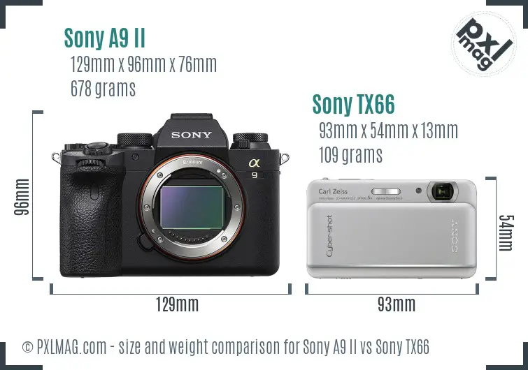 Sony A9 II vs Sony TX66 size comparison