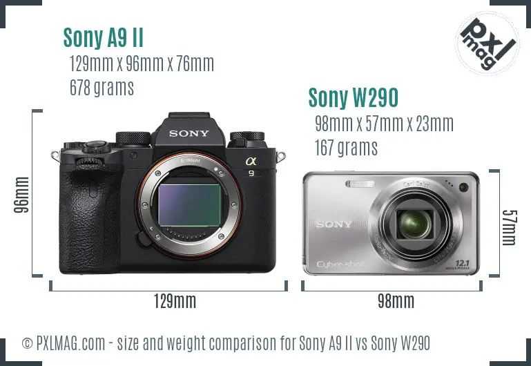 Sony A9 II vs Sony W290 size comparison