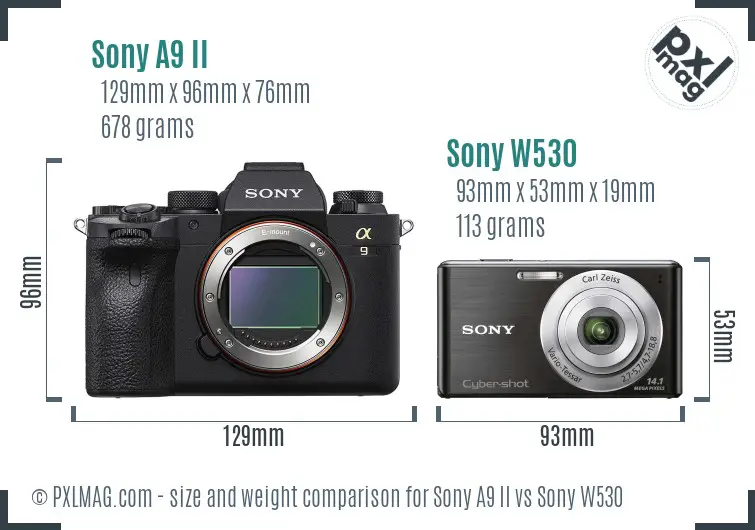 Sony A9 II vs Sony W530 size comparison