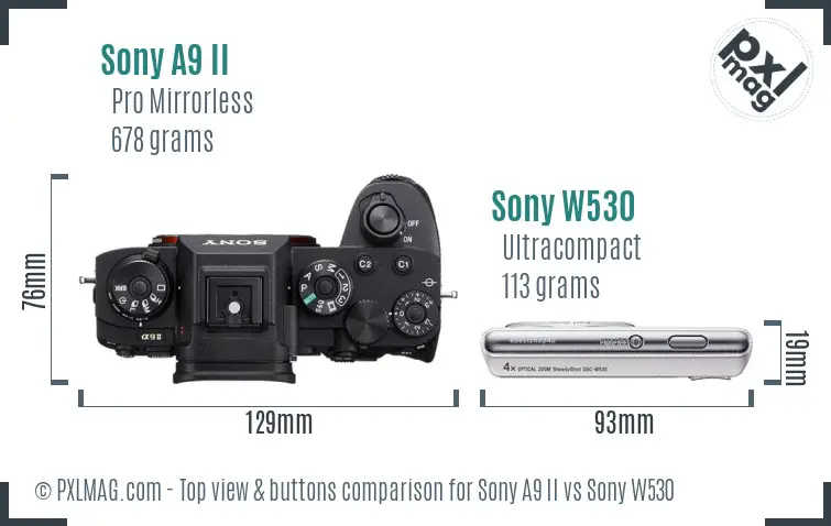 Sony A9 II vs Sony W530 top view buttons comparison