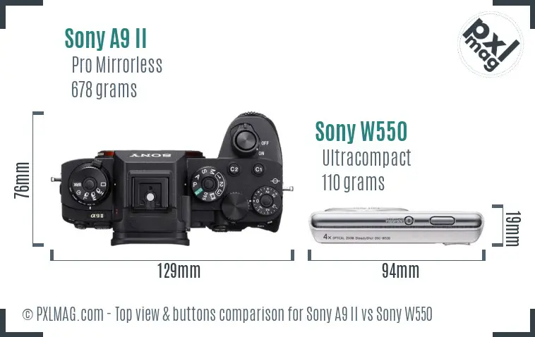 Sony A9 II vs Sony W550 top view buttons comparison