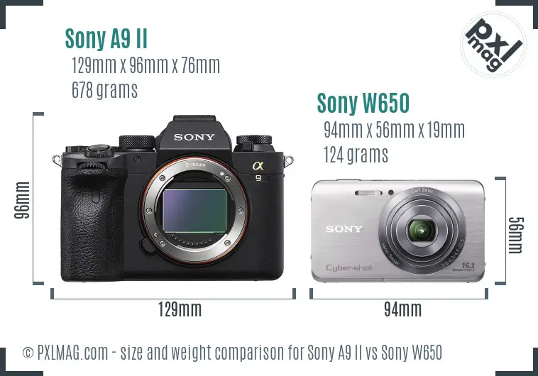 Sony A9 II vs Sony W650 size comparison
