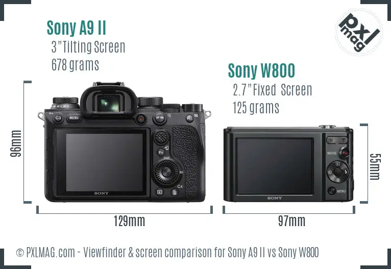 Sony A9 II vs Sony W800 Screen and Viewfinder comparison