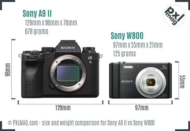 Sony A9 II vs Sony W800 size comparison