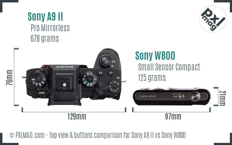 Sony A9 II vs Sony W800 top view buttons comparison